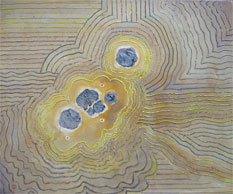 Unlevied Rocks, 2008 Acrylic on canvas; 22 x 28 inches